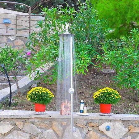 Pyrgos Zante Suites アリカナス エクステリア 写真